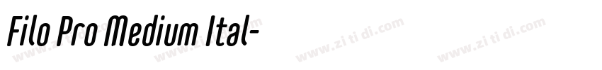 Filo Pro Medium Ital字体转换